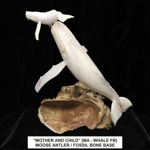 Mother and calf whale carving "First Breath" made of Moose antler on Fossilized bone